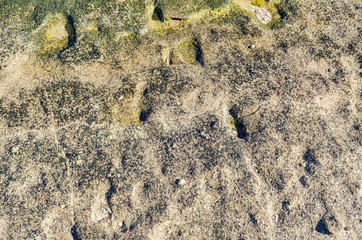 Grey stone or rock background and texture