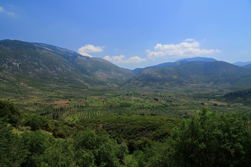 Landscape, Distomo,  Boeotia, Greece