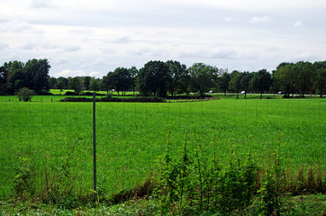 Obraz premium range land with pale blue sky