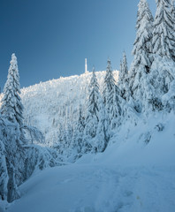 frozen Lysa hora hill in winter Moravskoslezske Beskydy mountains in Czech republic