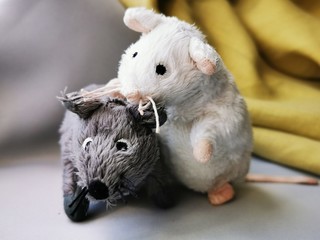 Two cute funny mouse, a symbol of the year 2020 on the astrological calendar. Photo of children's toys close-up