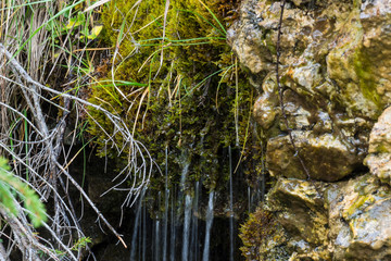 Alto adige Italy natur outdoor sunny day