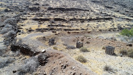 nature in its purest state