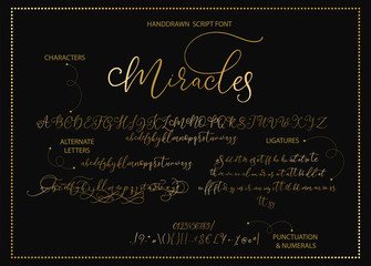 Hand drawn vector alphabet font font with letters, numbers, symbols alternates and ligatures. For calligraphy, lettering, hand made quotes.