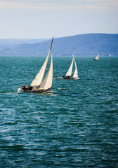 Segelboote segeln Brise Bodensee Sommer Deutschland Regatta Wetter Baden-Württemberg schwäbisches Meer Meersburg Überlingen Konstanz Lake Constance Wassersport Wind Törn