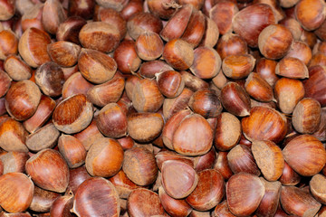 Ripe chestnut fruits Castanea sativa set, food background. Brown chestnut nuts