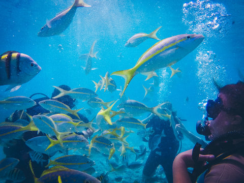 Diving In Maria La Gorda