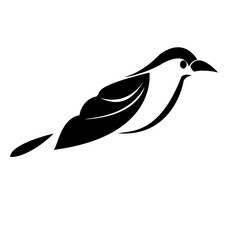 bird logo beautiful black shape
