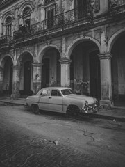 Havanna black and white