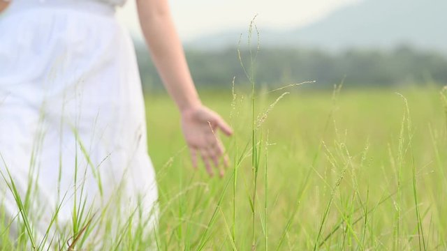 Asian woman in white dress is strolling in vast grassland and touching top of green grass by hand. Girl walking in meadow with ukulele in grass field. People lifestyle and relaxation in vacation 4K