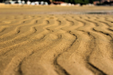 Fototapeta na wymiar Sandy beach on the island of Rab in Croatia. Low tide. Summer...