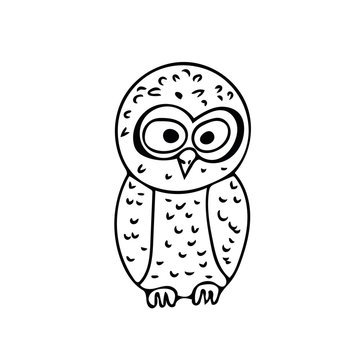 forest animals owl hand drawn element. Scandinavian style simple liner.
