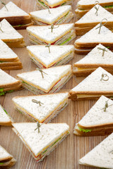 Kosher catering background. Catering service background. Food for business events. Delicious blend of savory and sweet. Party catering. Simple street food. Vertical photo. Catering background