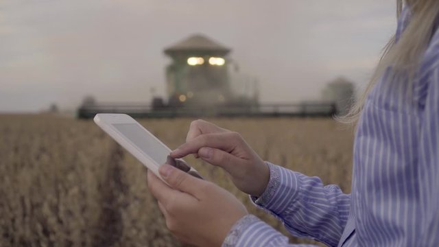Farmer using digital tablet computer in cultivated soybean field, use of drone, applying modern technology in agricultural activity, selective focus.