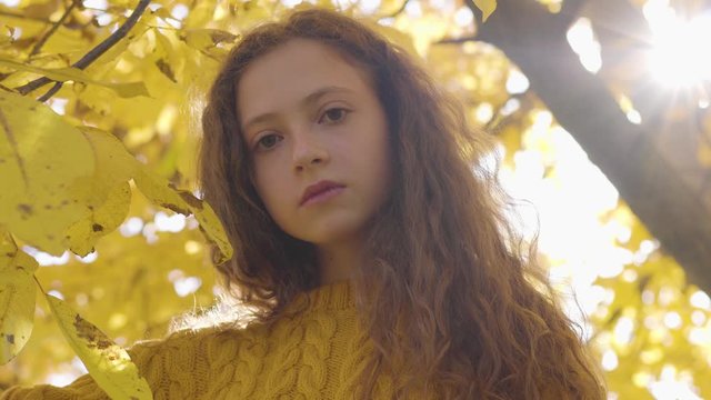 Little redhead caucasian girl standing in the autumn park in sunrays. Child with long hair and brown eyes looking at the camera on the background of yellow leaves.