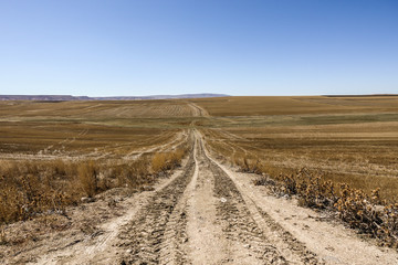 Fototapeta na wymiar Long and dusty dry dirt road