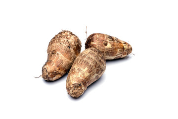 Taro in isolated white background.