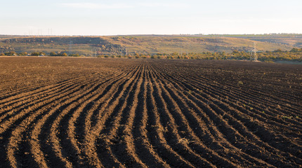brown ground plowed field, harrow lines, sunset time