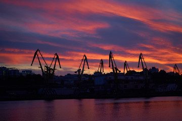 Obraz premium Colorful sunset over sea port and industrial cranes. Bright sunset in seaport. Large silhouettes of cargo cranes. Beautiful landscape with fiery sunset sky and sea.