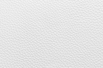 White natural animal skin texture. skin with pattern. background