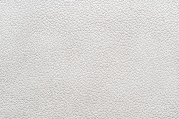 White natural animal skin texture. skin with pattern. background
