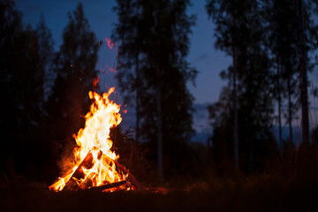 Burning campfire on a dark night in a forest - obrazy, fototapety, plakaty