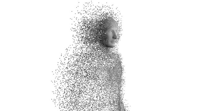 Human body on white background