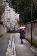 Fototapeta na wymiar une femme marche de dos dans la rue avec un parapluie