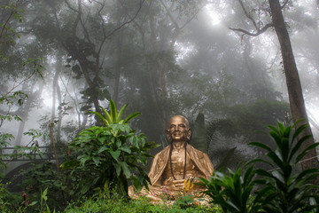 Buda del templo de Doi Suthep con bosque con niebla