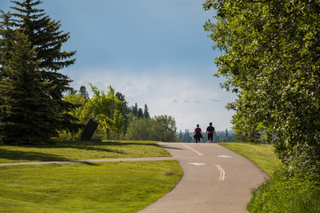 road in park
