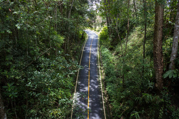 carretera a través de la selva en Tailandia