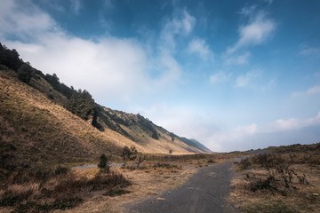 Amazing view of Teletubbies  hill and Savana , Bromo Tengger Semeru National Park East Java Indonesia.