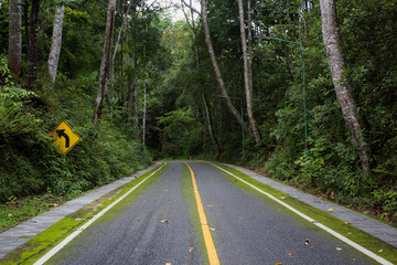 carretera a trav&eacute;s de la selva en Tailandia