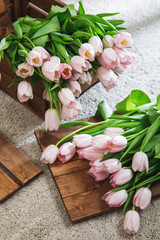 Beautiful pink tulip flowers in the wooden box