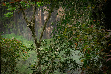 View of Iguazu fall, a magnificent waterfall in Brazil and Argentina