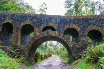 Fototapeta na wymiar old stone bridge in garden