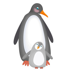 Animal. Penguin with her child. Vector illustration