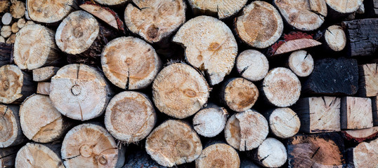 panorama view of woodpile 