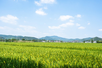 small village with farm in mountain