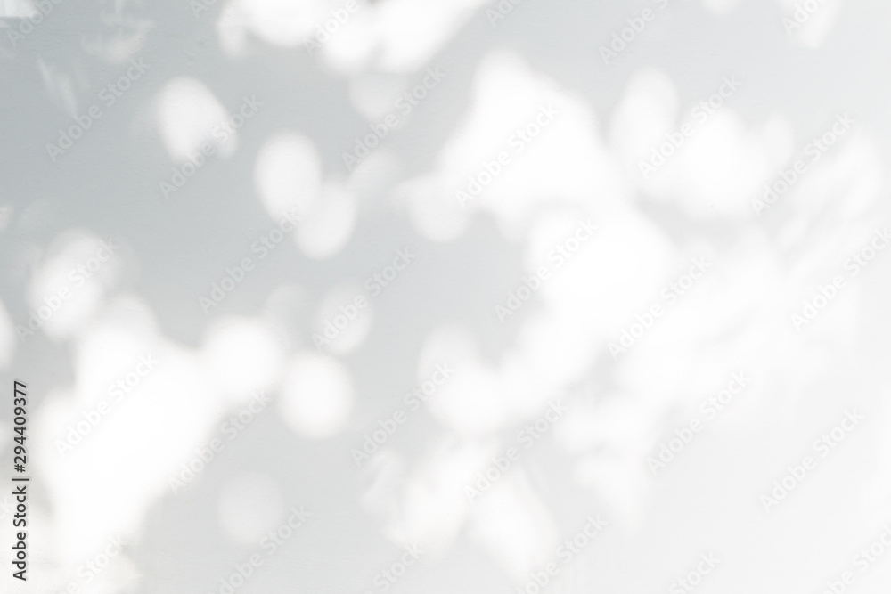 Poster abstract leaves shadow and light blurred background with light bokeh,