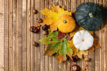 Variety of red and yellow autumn leaves with pumpkins and chestnuts, over wooden plank background. Flat lay. Fall creative background.