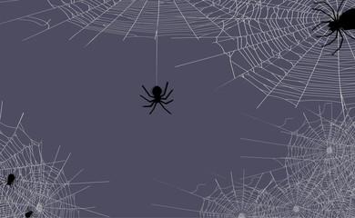 Spiders are creating spider webs in a gray background and have space for text input.  - Vector
