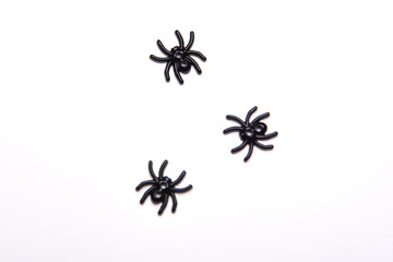 Halloween decorations set black spider on white background , Halloween holiday background , top view