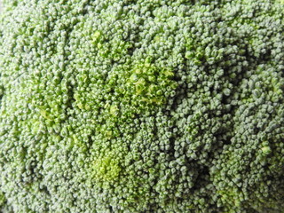 Close up of healthy green raw broccoli. Cooking ingredients. Healthy vegetable. Broccoli is rich in vitamin C and dietary fiber. Could be background. Surface texture.
