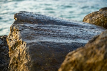 Close up of a wet rock during the blue hour