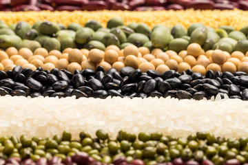 Whole grains are rich in nutrients