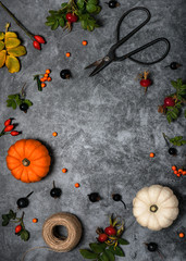 Frame made of colorful pumpkins, firethorn berries, rose hips, leaves on rustic gray background. Autumn fall concept. Flat lay. Copy space.