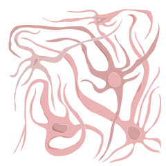 Neuron cells. Vector simple design illustartion.