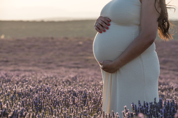 Pregnant belly in lavender fields
