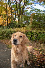 富士すばるランド